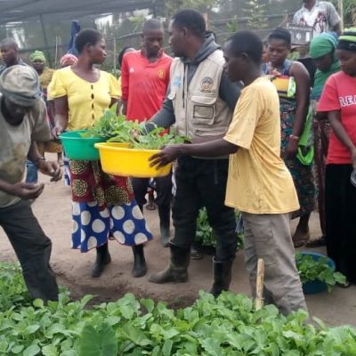 distribution of seeds